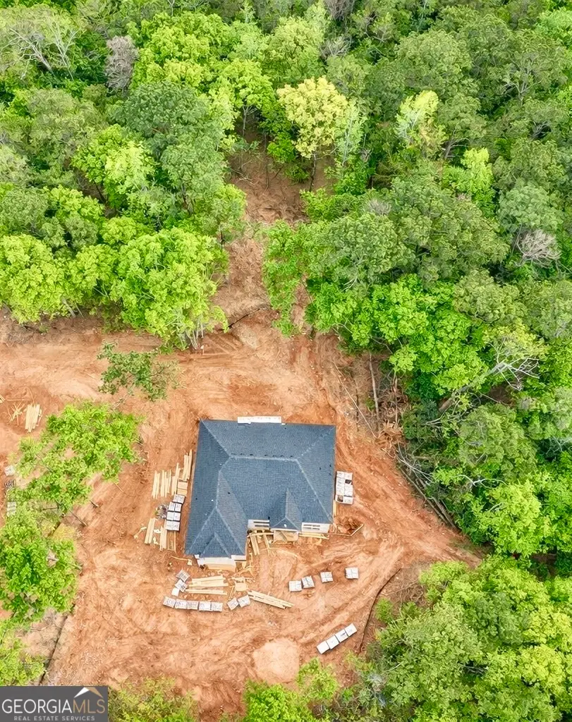 1306 New Hope Church Road #4, Loganville, GA 30052 - #3