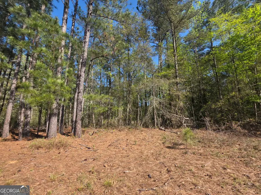 TRACT B Ga Highway 102, Mitchell, GA 30820 - #2