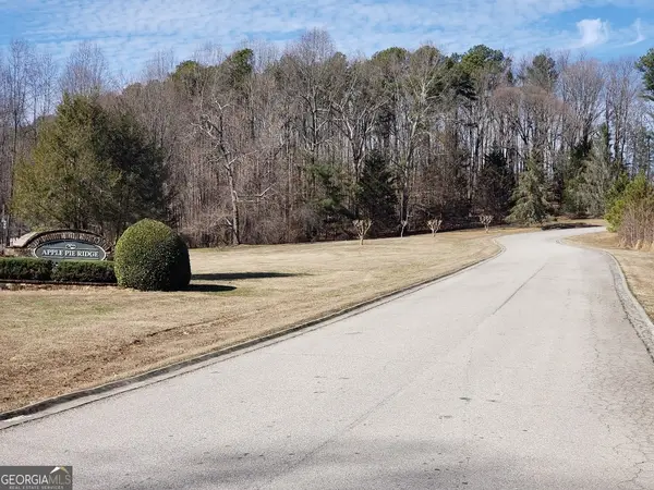 0 Planters Pointe Drive, Banks, GA 30510