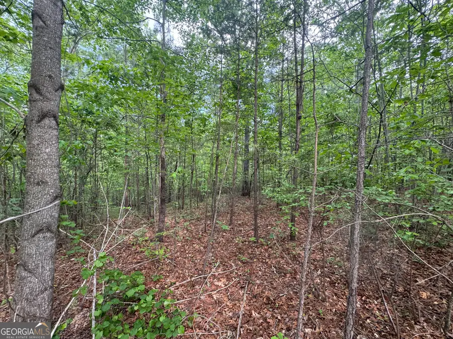 1786 Jones Mountain Road, Jasper, GA 30143 - #2