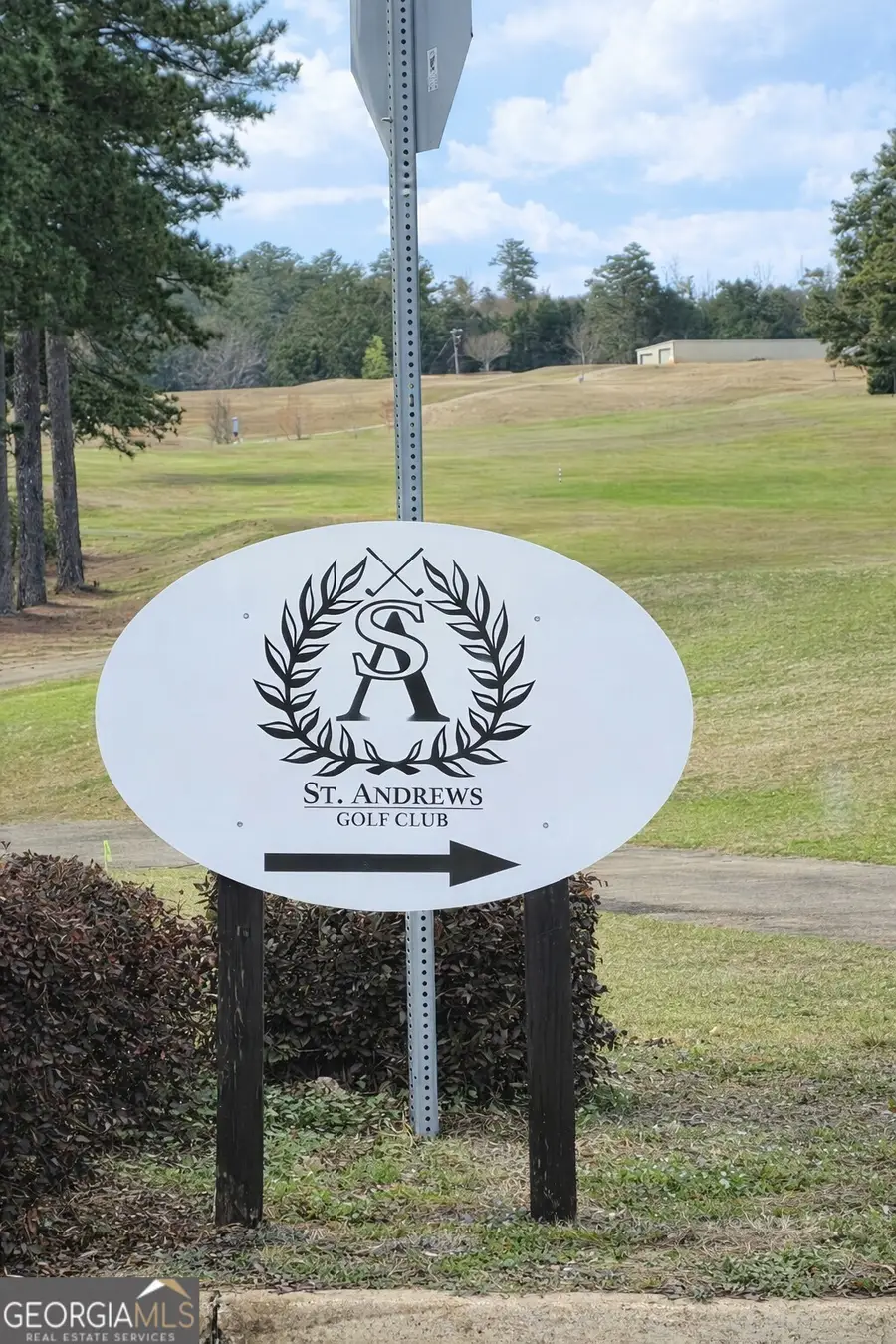 9000 Edinburg Drive, Winston, GA 30187 - #2