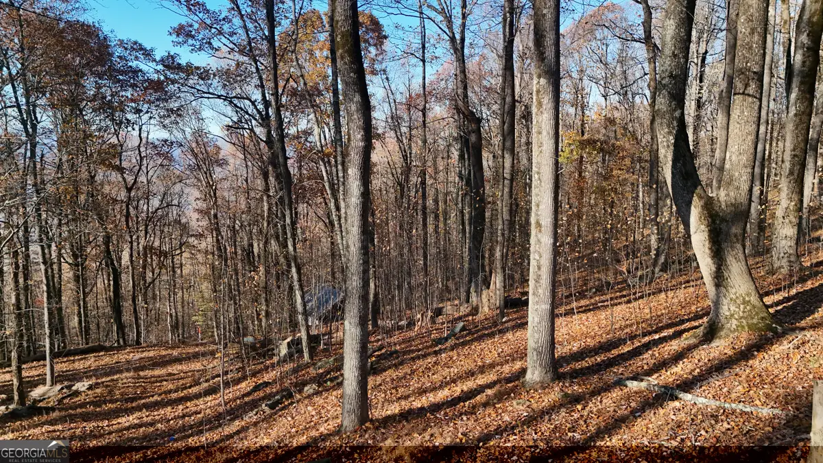 LOT 11 Mountainside Drive, Cleveland, GA 30528 - #1