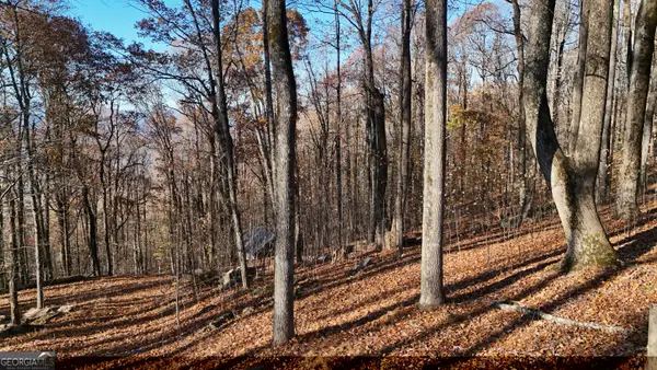 LOT 11 Mountainside Drive, Cleveland, GA 30528
