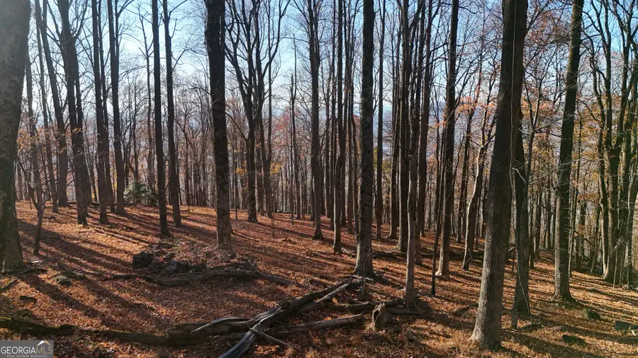 LOT 11 Mountainside Drive, Cleveland, GA 30528 - #3