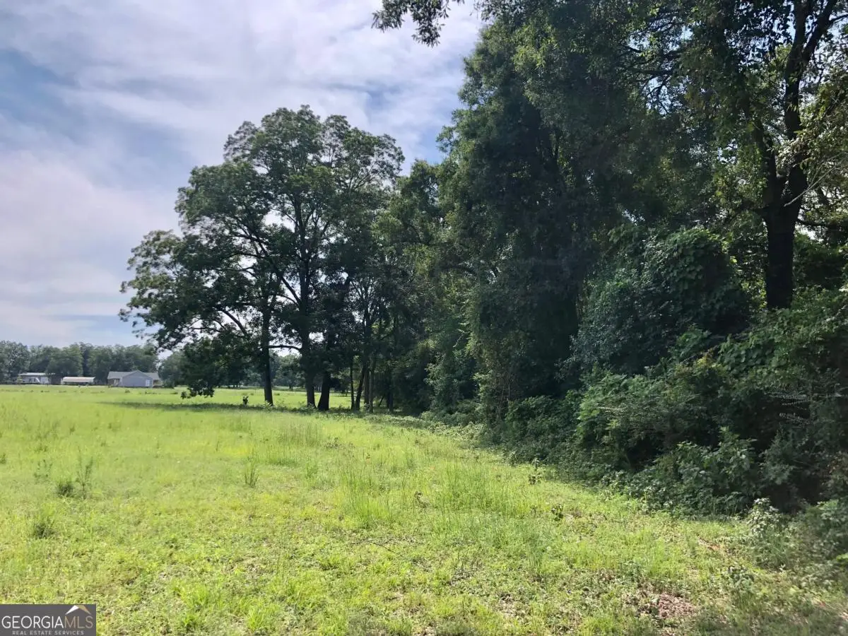 204 Nevils Groveland Road, Statesboro, GA 30458 - #1