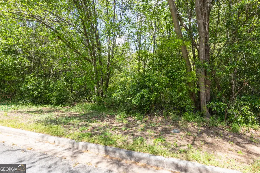 713 Pheasant Ridge Drive, Warner Robins, GA 31088 - #3