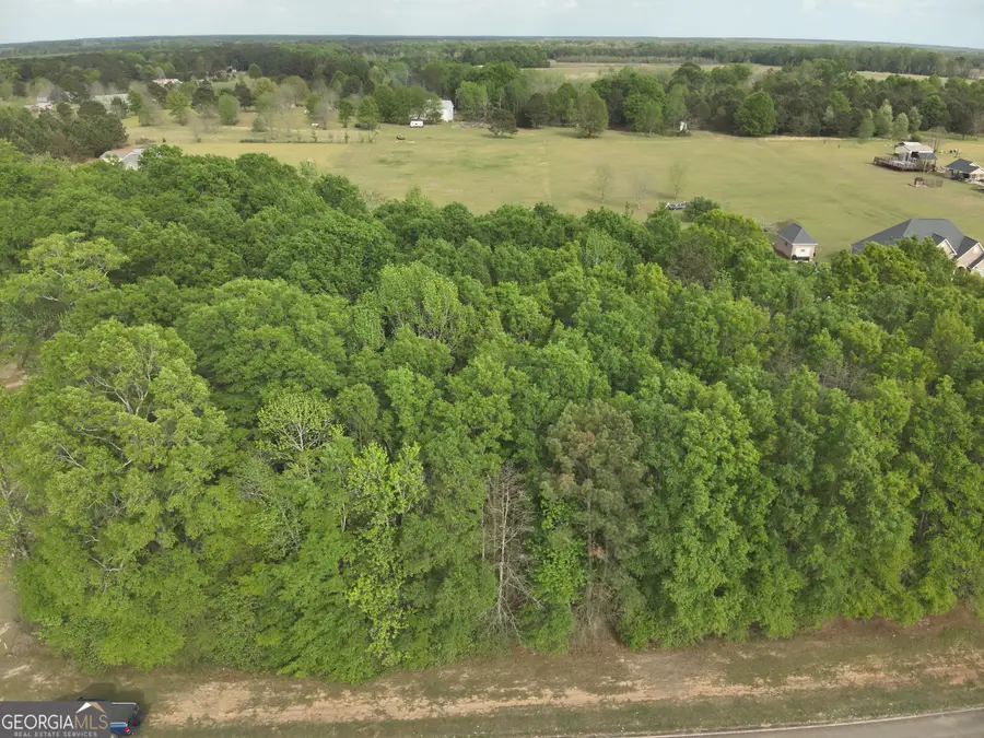 224 Scott Road, Elko, GA 31025 - #2