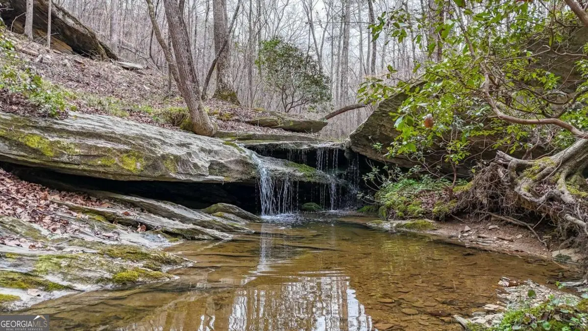 0 Felton Rockmart Road, Buchanan, GA 30113 - #1