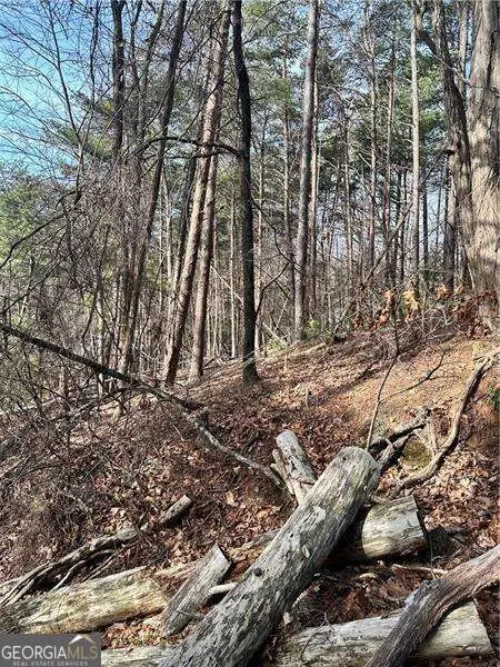 0 Log Swamp Dr. Drive, Jasper, GA 30143