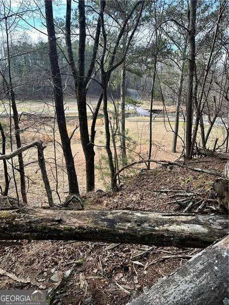 0 Log Swamp Drive, Jasper, GA 30143 - #3