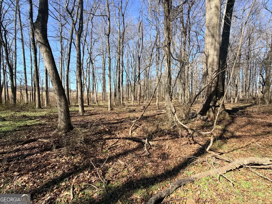 0 Adams Duncan Road #TRACT 2, Hull, GA 30646 - #3