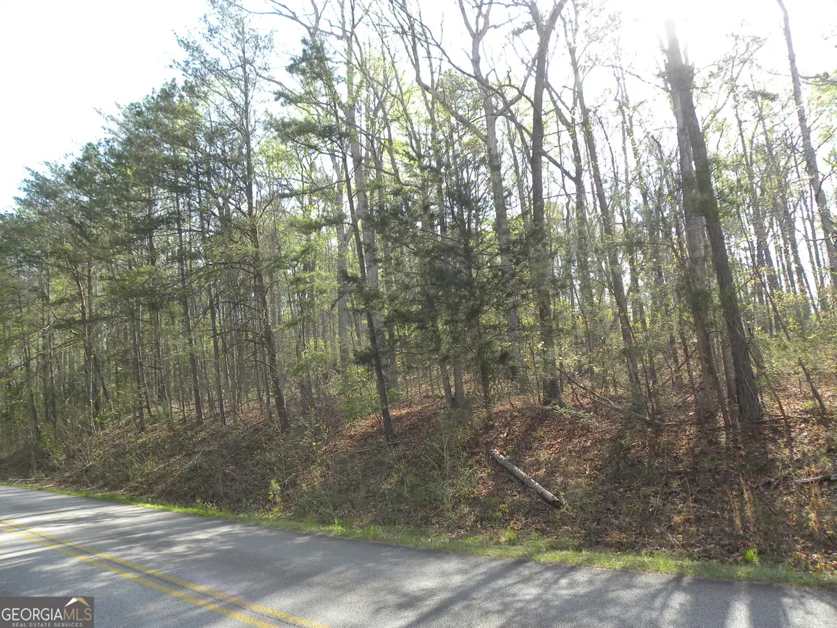 1323 Seven Forks Road, Martin, GA 30557 - #1