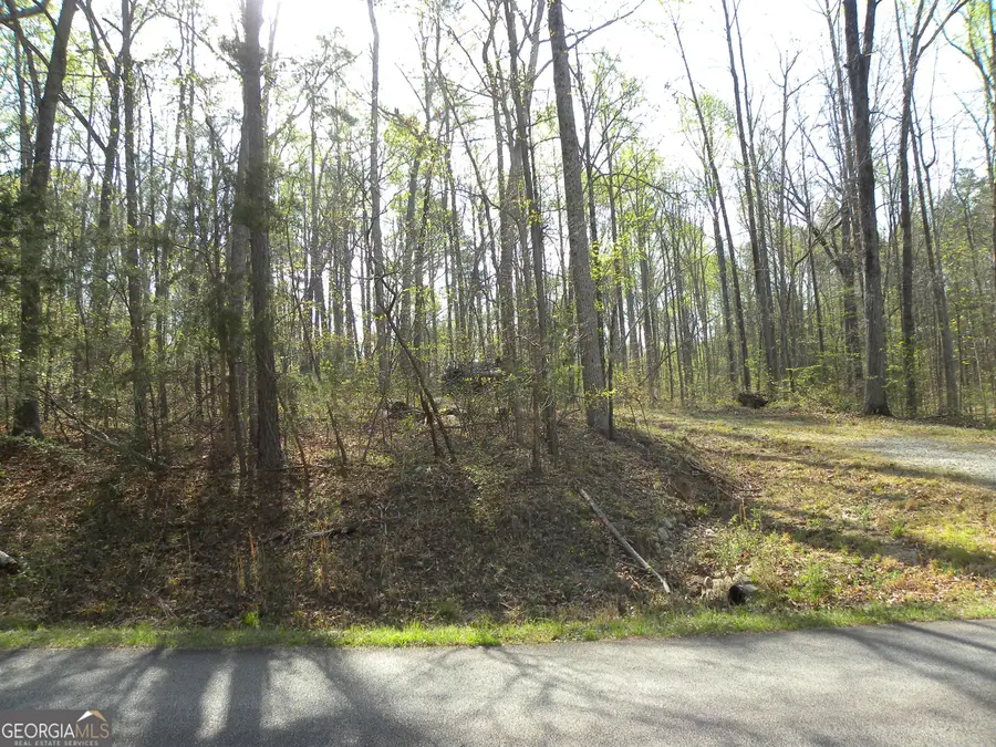 1323 Seven Forks Road, Martin, GA 30557 - #2