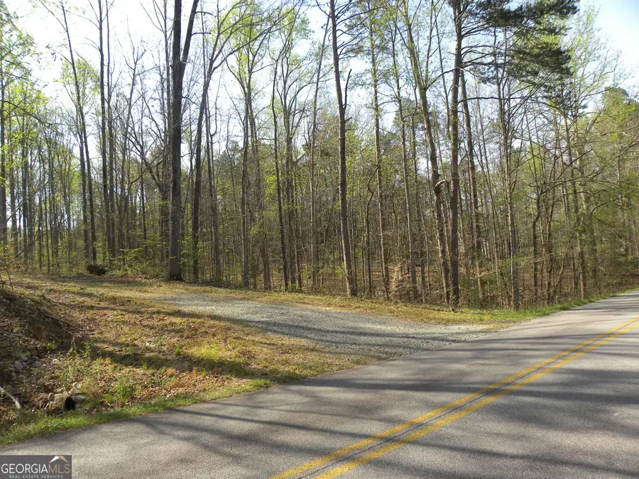 1323 Seven Forks Road, Martin, GA 30557 - #3