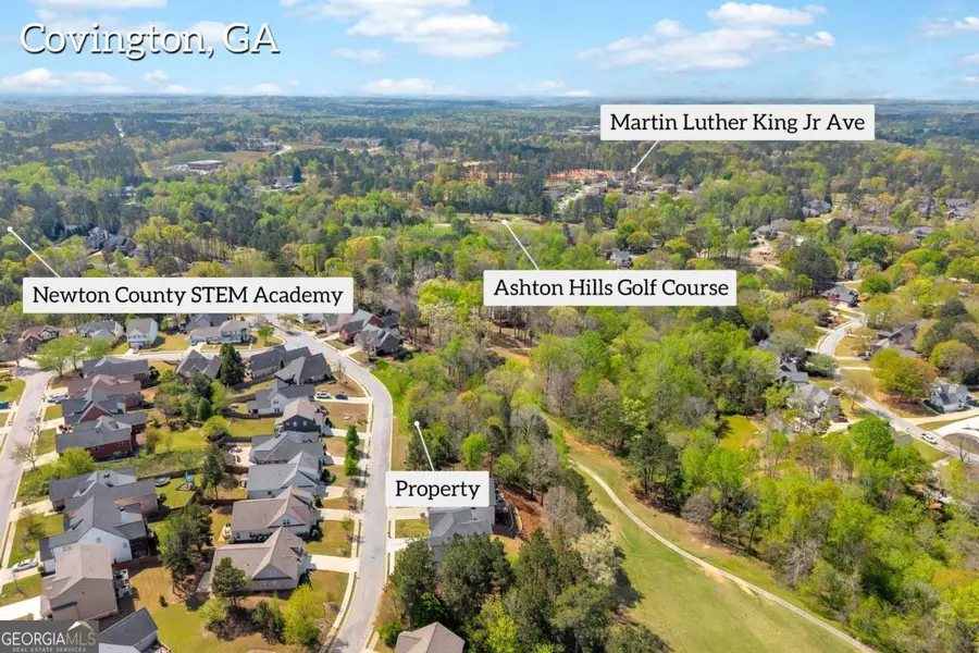 9141 Golfview Lane, Covington, GA 30014 - #3