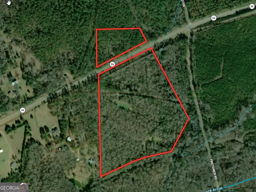 31+/- AC Highway 26, Buena Vista, GA 31803 - #1