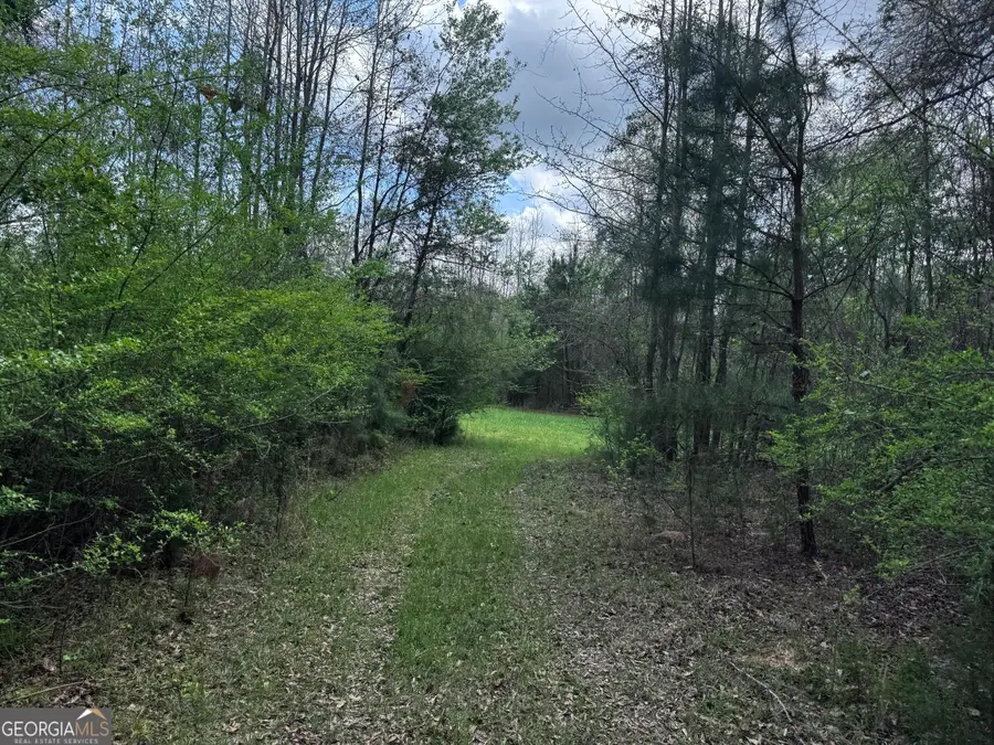 31+/- AC Highway 26, Buena Vista, GA 31803 - #3