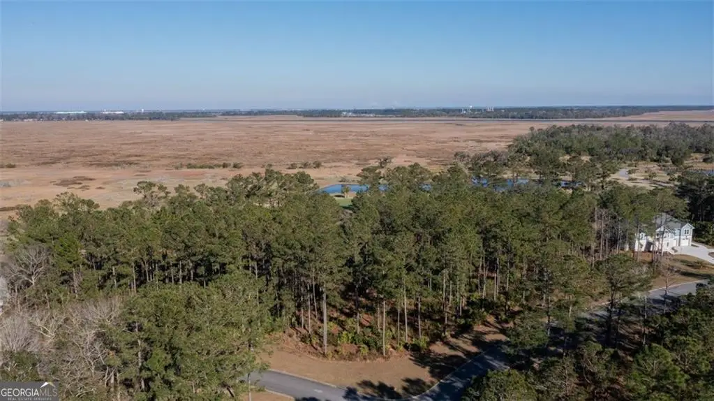 V/L 48 Sanctuary Cove Ph 7, Waverly, GA 31565 - #1