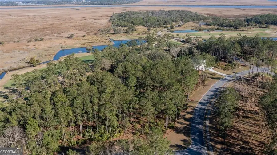 V/L 48 Sanctuary Cove Ph 7, Waverly, GA 31565 - #3