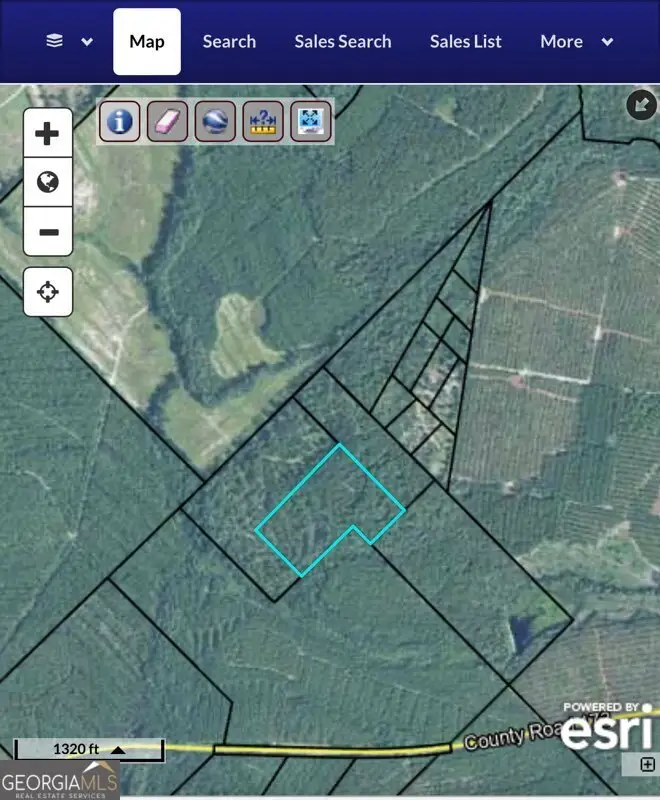 20 AC N Hope Church & Rt. 149, Scotland, GA 31083 - #1