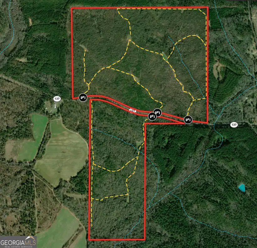 337+/- AC Hwy 137, Buena Vista, GA 31803 - #1