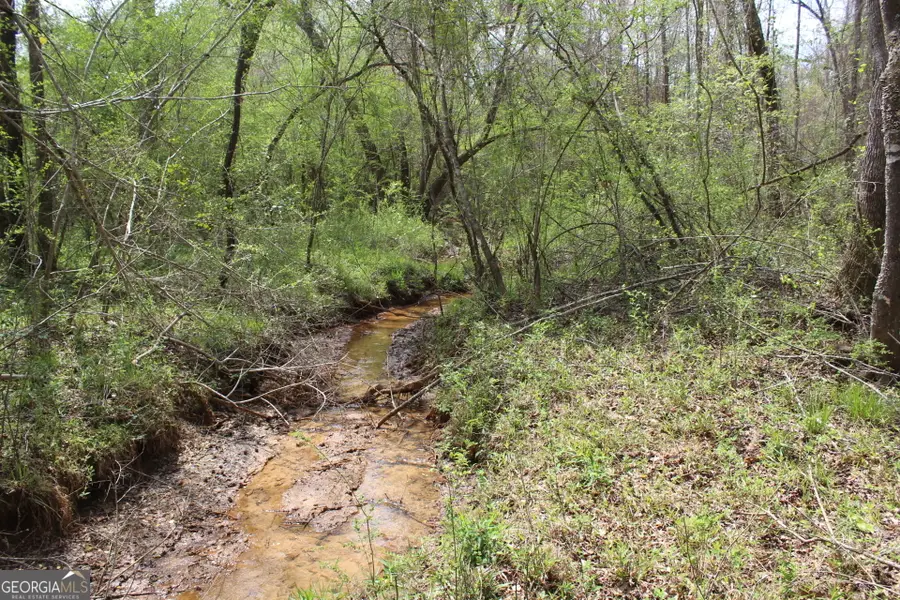 337+/- AC Hwy 137, Buena Vista, GA 31803 - #3