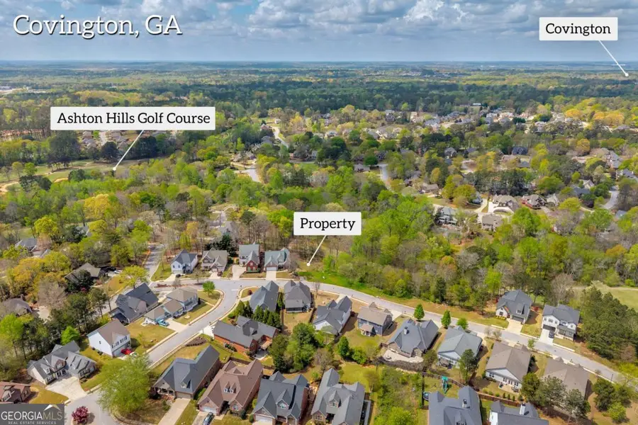 9125 Golfview Lane, Covington, GA 30014 - #2