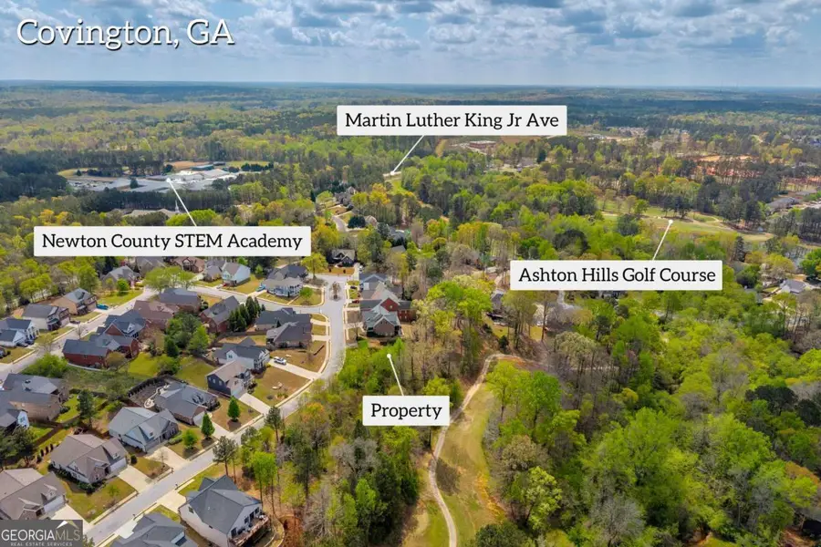 9125 Golfview Lane, Covington, GA 30014 - #3