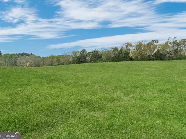 0 Gooseneck Road, Eastanollee, GA 30538 - #2