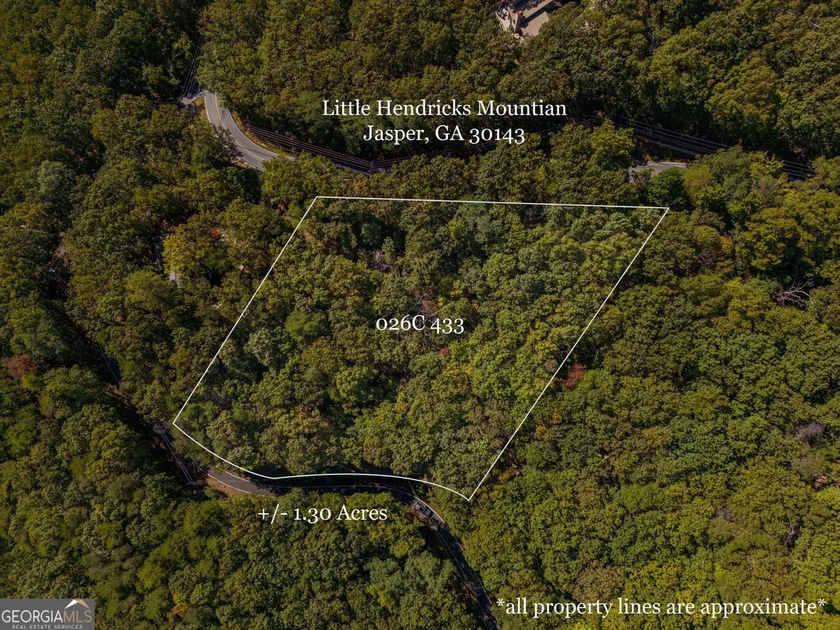 0 Little Hendricks Mountain Road, Jasper, GA 30143 - #1