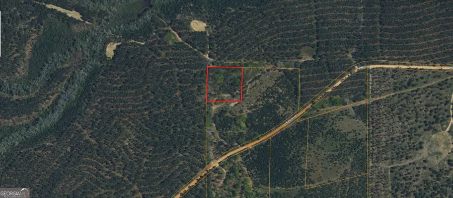 0 Nursery Road #212, Buena Vista, GA 31803 - #2