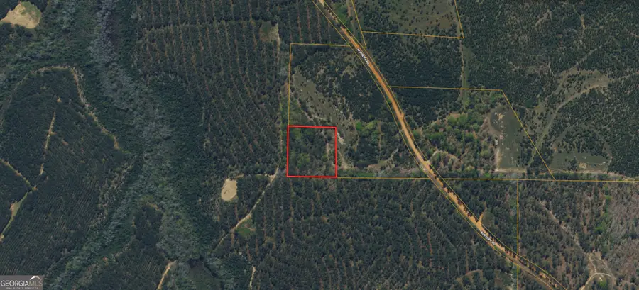 0 Nursery Road #212, Buena Vista, GA 31803 - #3