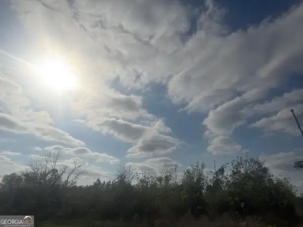 00 Ed Varnadoe Road, Lumber City, GA 31549