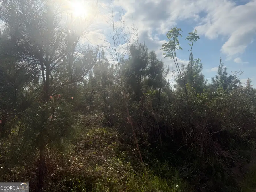 00 Ed Varnadoe Road, Lumber City, GA 31549 - #2