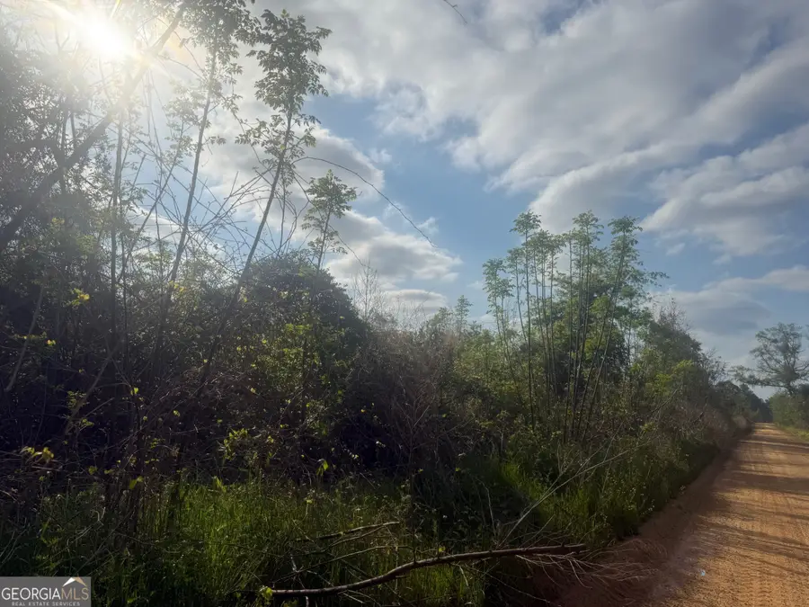 00 Ed Varnadoe Road, Lumber City, GA 31549 - #3