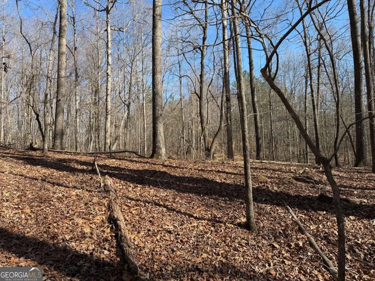 131 Nicholson Lane, Talking Rock, GA 30175 - #1
