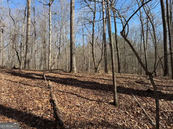 131 Nicholson Lane, Talking Rock, GA 30175