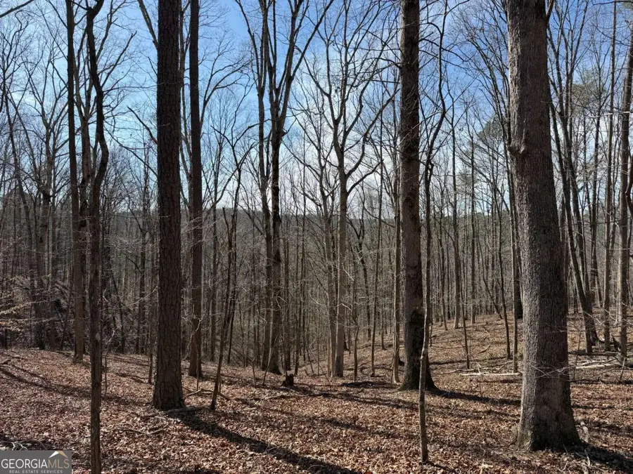 131 Nicholson Lane, Talking Rock, GA 30175 - #2