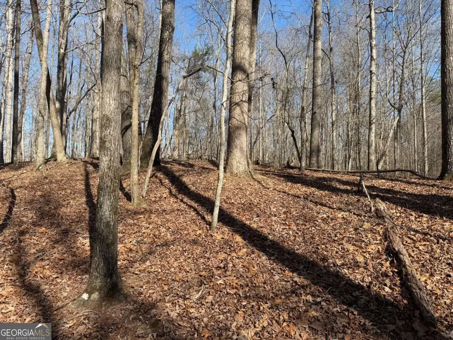 131 Nicholson Lane, Talking Rock, GA 30175 - #3