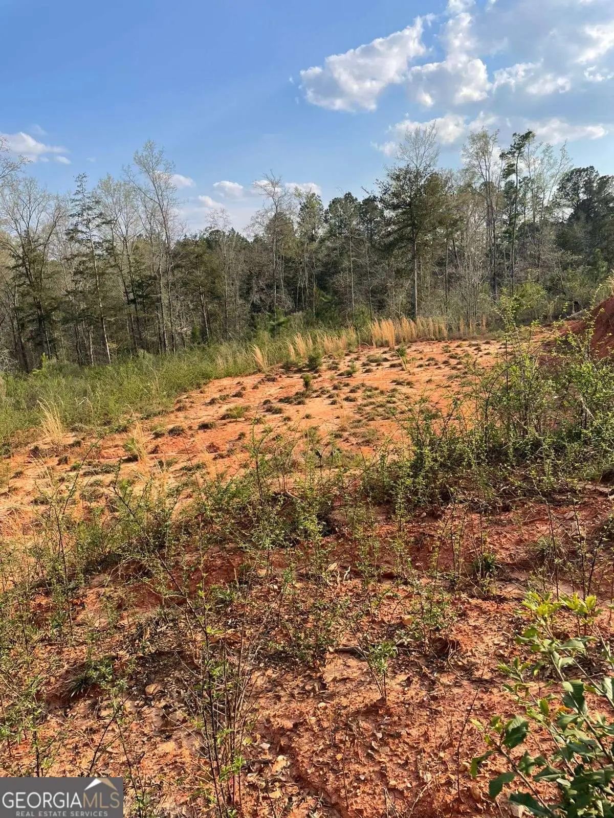 2557 Washington Highway, Elberton, GA 30635 - #1