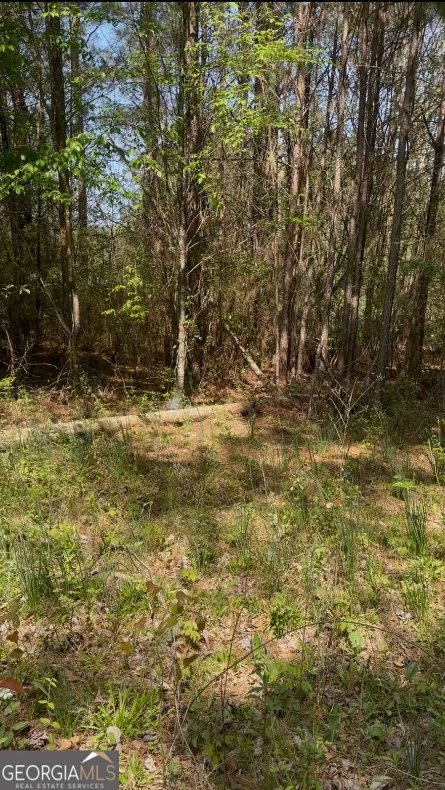 2557 Washington Highway, Elberton, GA 30635 - #3