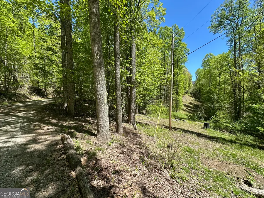0 Buck Knob Road, Scaly Mountain, NC 28775 - #2
