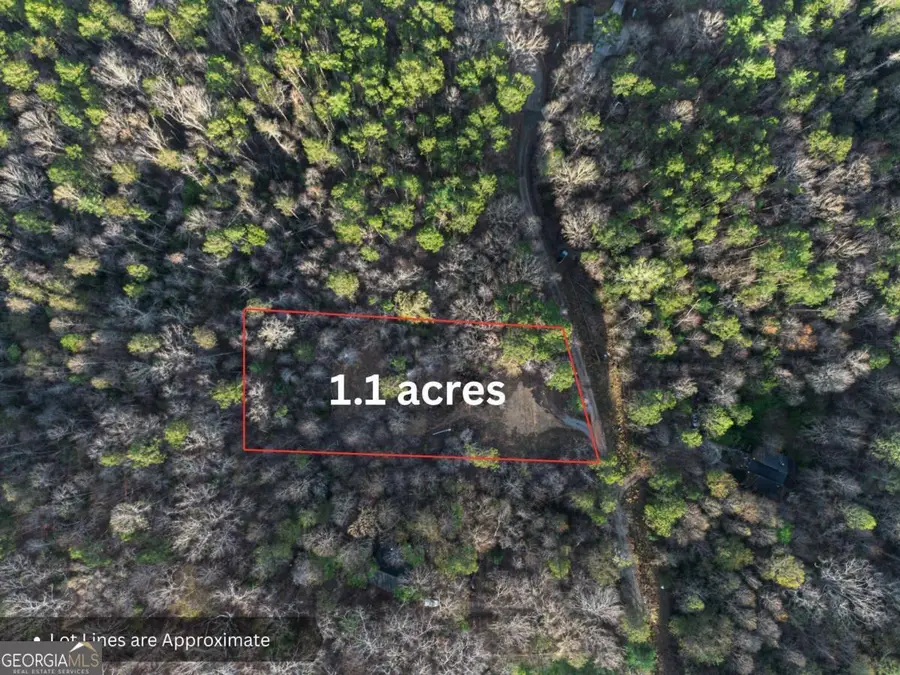 LOT 0 Delphi Hills Lane, McCaysville, GA 30555 - #3