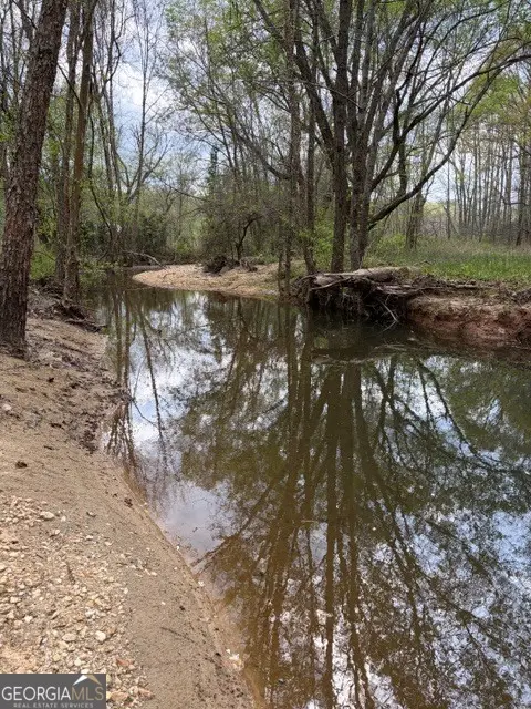 54 Coppermine Road, Buchanan, GA 30113