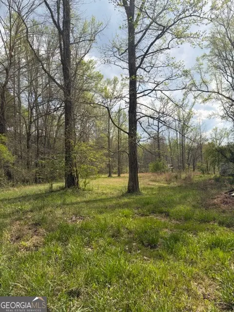 54 Coppermine Road, Buchanan, GA 30113 - #2