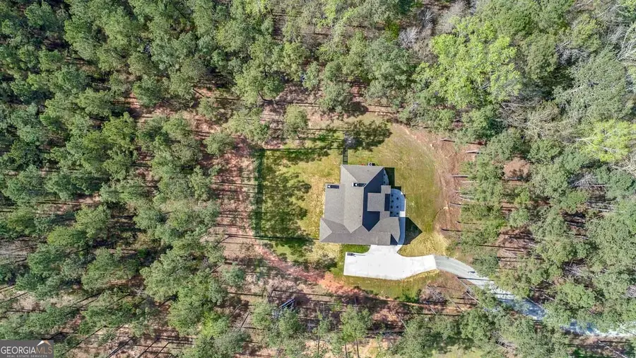 263 Bill Estes Road, Senoia, GA 30276 - #3