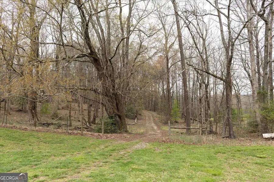 0 Reagan Road, Dawsonville, GA 30534 - #2