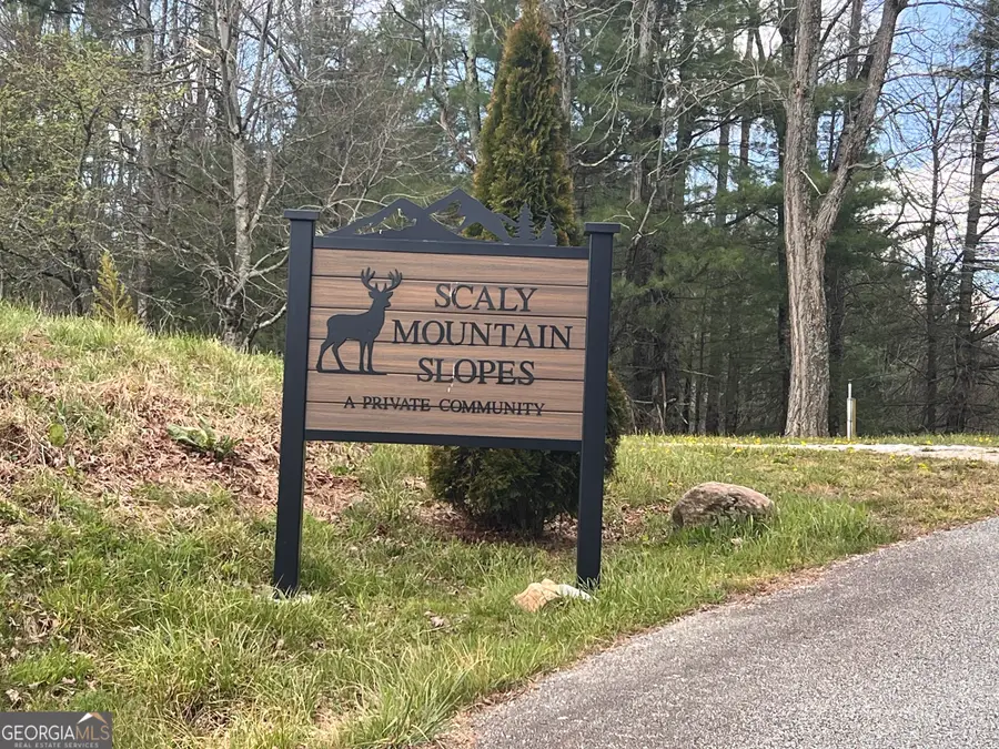 162 Dryman Ridge Road, Scaly Mountain, NC 28775 - #2