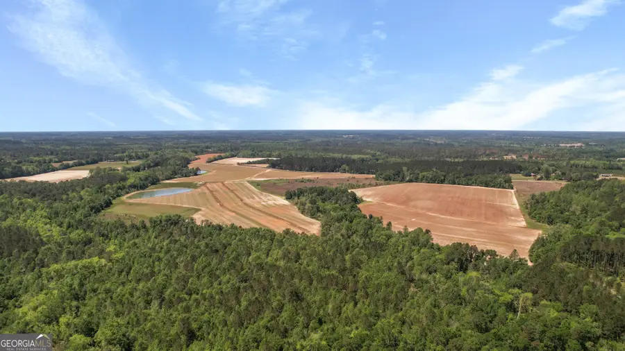 0 Middleground Road #TRACT 1, Statesboro, GA 30461 - #3