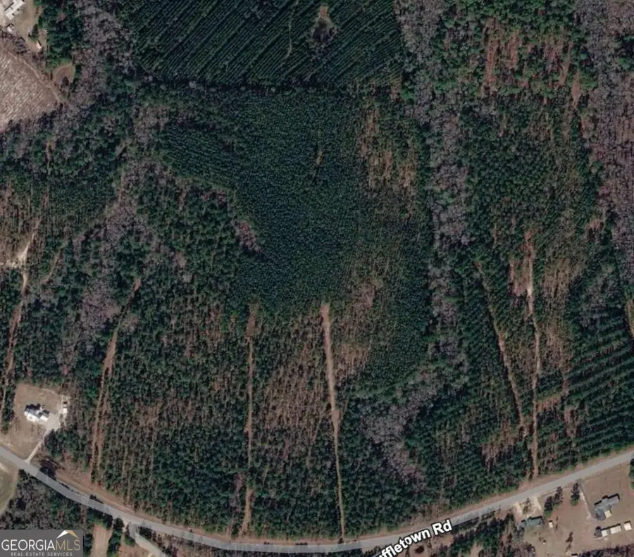 0 Scuffletown Road, Garfield, GA 30425 - #3
